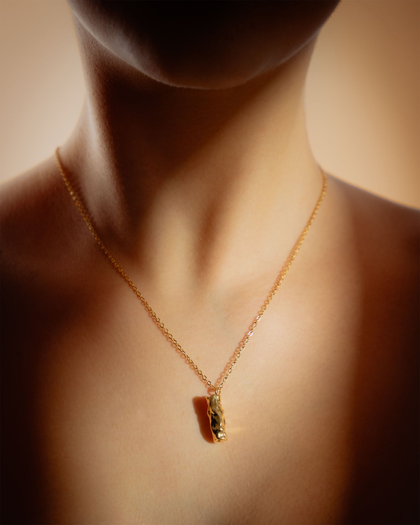 DESIRE HOLDER · FIRST EDITION