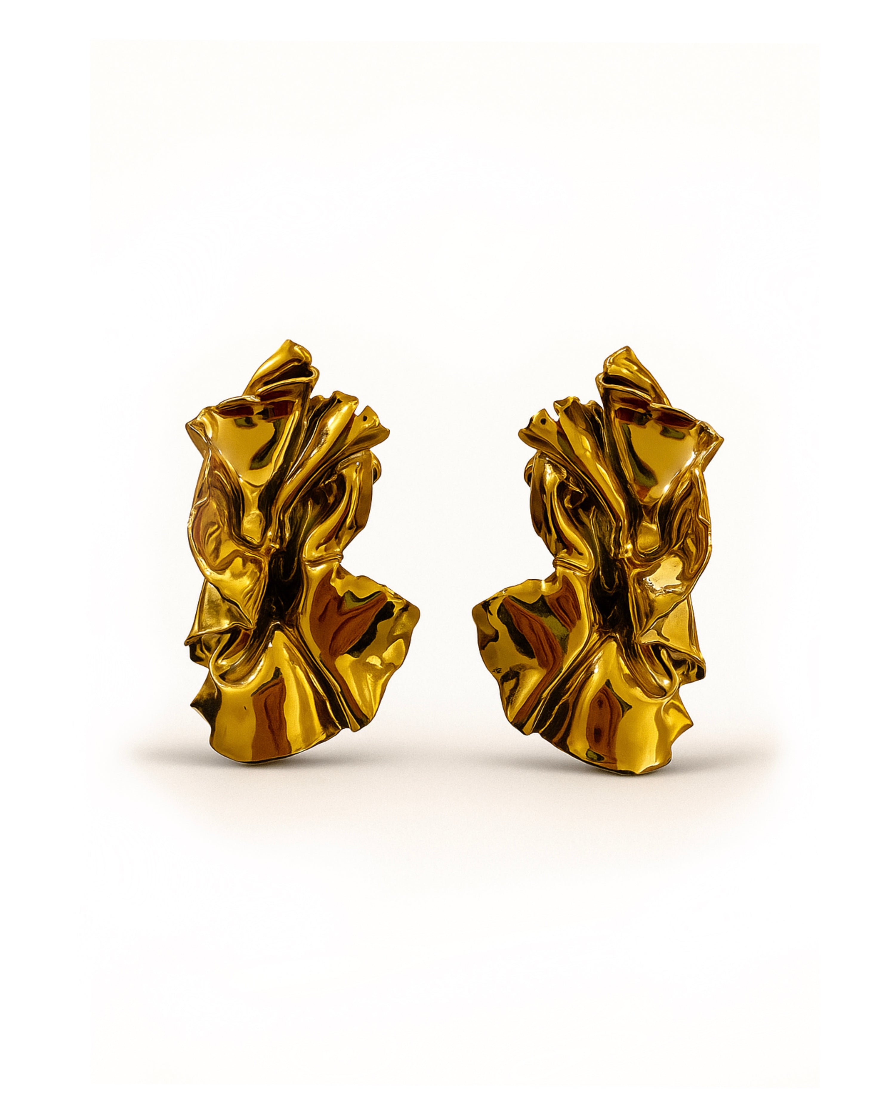Sculpture Earrings