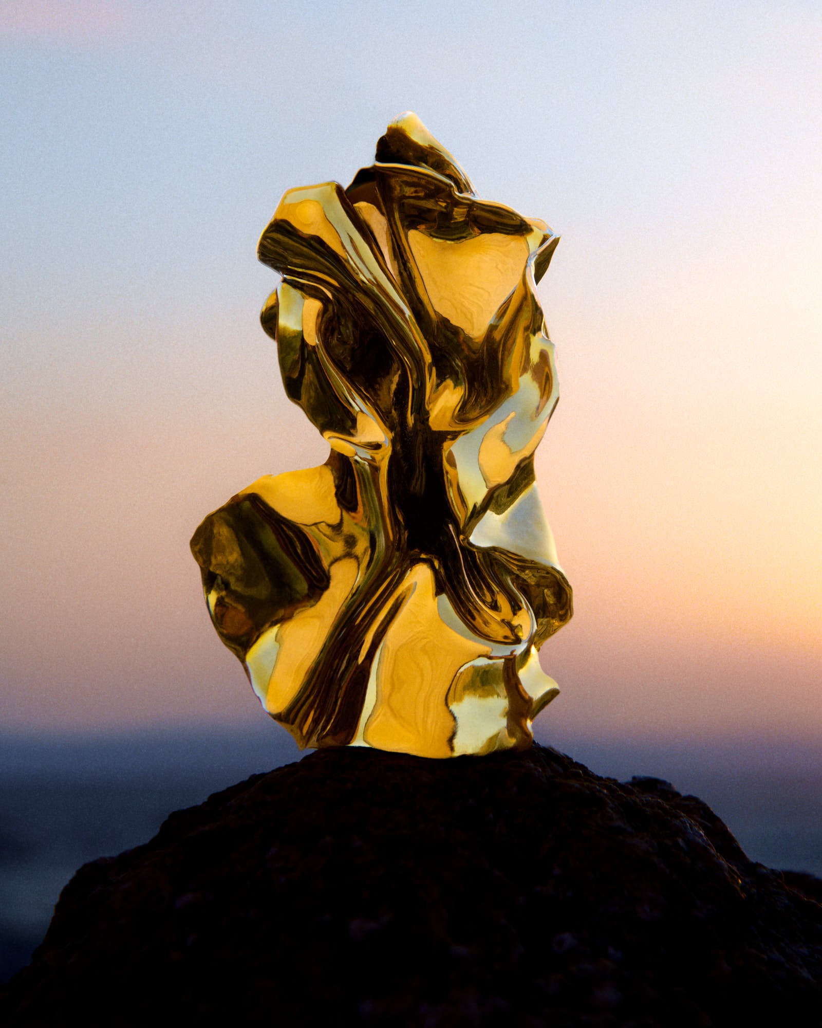 3D PRINTED SCULPTURE EARRINGS